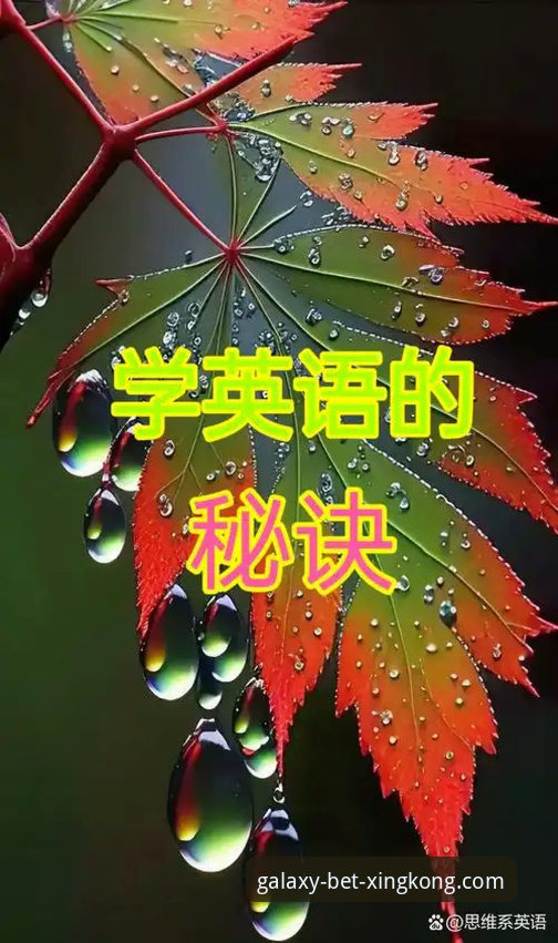 星空体育好用吗使用技巧 星空体育平台使用技巧完整指南:从下载到高效应用的实战手册